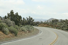 路,性質(zhì),旅行
