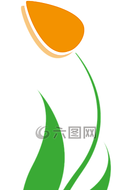 郁金香,春天,开花