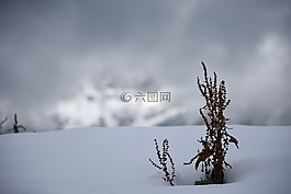 雪,霧,廠