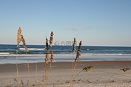海灘,沙,波