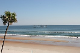 海灘,海洋,棕櫚