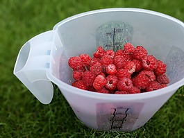 野餐,水果,覆盆子