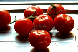 蕃茄,布什西紅柿,蔬菜