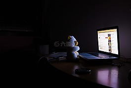 熊,計算機,夜晚