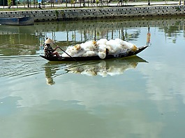 越南,海的,船