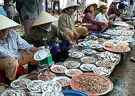 越南,市場,魚