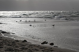 海灘,海岸,整體的一部分水域