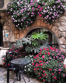 鮮花,城市,秋