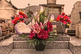 杜桑,鲜花,红色