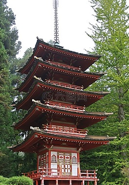 舊金山,霧,寶塔