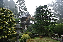 舊金山,霧,寶塔