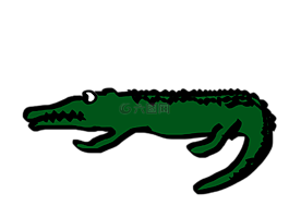 鱷魚,揚(yáng)子鱷,漫畫