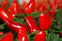 蔬菜,食品,健康