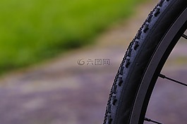 車輪,自行車,綠色