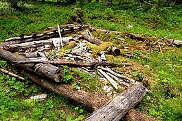 被遺棄,老,建筑