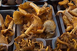 蘑菇,蘑菇蘑菇,市场