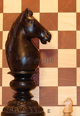 施普林格,象棋,國際象棋棋子