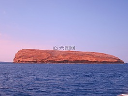 探索,島,活動