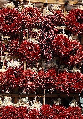 辣椒,紅色,夏季