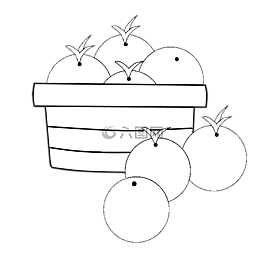 籃,橙色,食品