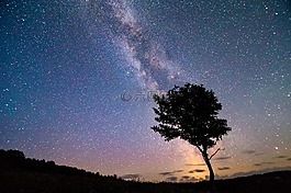 銀河系,明星,木材