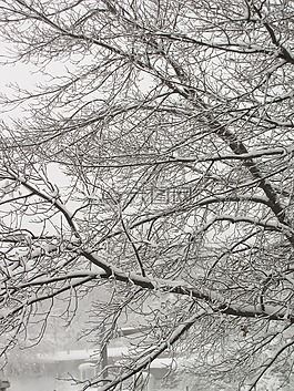 雪,雪暴,降雪