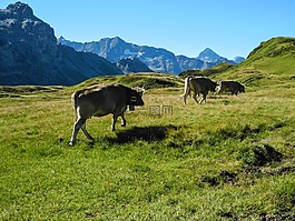 melchseefrutt,山,山區(qū)問題首腦會議