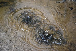 雨滴,水滴,水