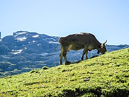 melchseefrutt,山,山區(qū)問題首腦會議