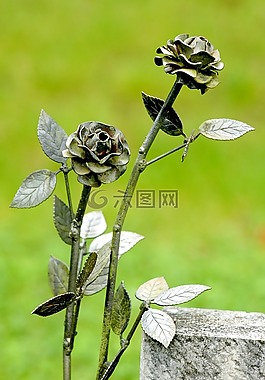 玫瑰,裝飾,雕像