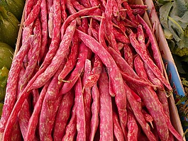 食品,蔬菜,豆类