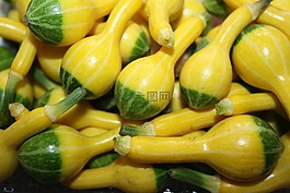 西葫芦,南瓜绿黄色的,小南瓜