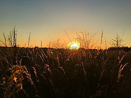 日落,大自然,himmel