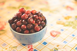 碗,巴西,針葉