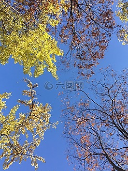 天空,大自然,藍色
