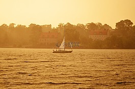 太陽(yáng),海,夏天