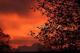 morgenstimmung,紅色,morgenrot