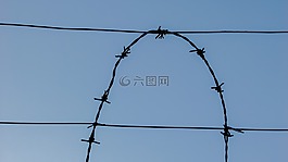 電線,保護(hù),鐵絲網(wǎng)