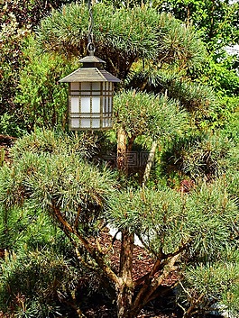 日本,花园里的日本花园,灯笼