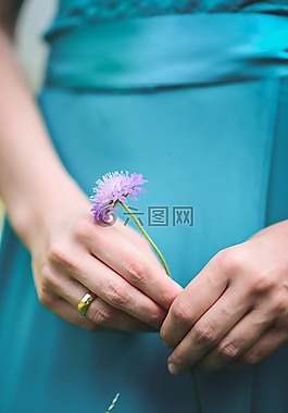 花卉,野生花卉,性質(zhì)