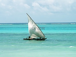引導(dǎo),菲舍爾,海