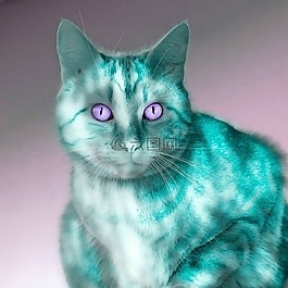 猫,颜色游戏,背景