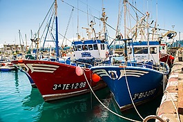 船,釣魚,漁船