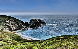 海洋,海,加利福尼亞州