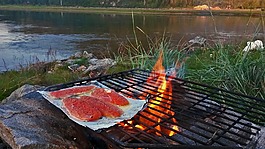 火,特劳特,食品