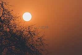 太陽,自然,日落