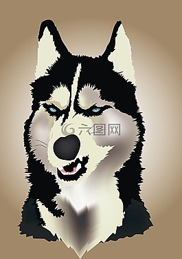 憤怒,西伯利亞,赫斯基