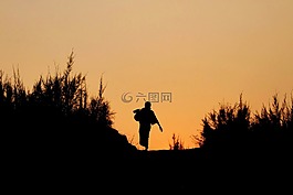 側(cè)影,日落,景觀