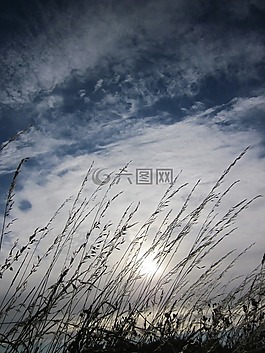 糧食,天空,云