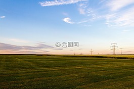 油菜籽場,景觀,電源線